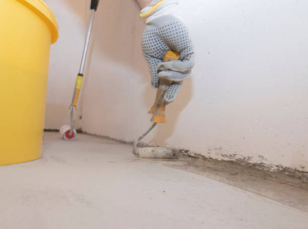 Best Pest Prevention Services  in St Bonifacius, MN